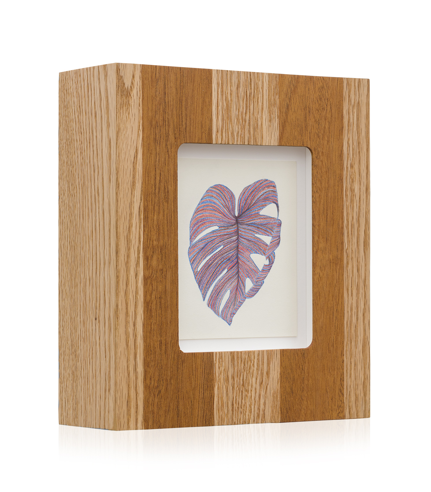 Monstera Drawing Solo 6_2